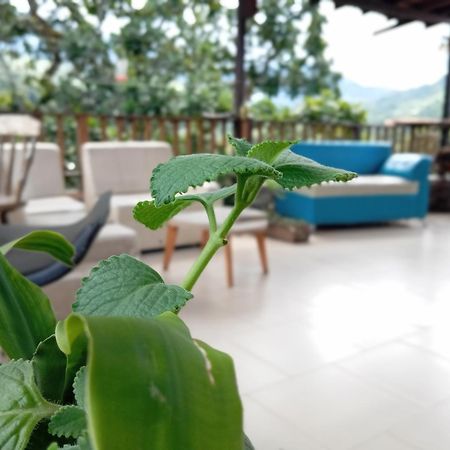 Hostal Los Wichos Мінка Екстер'єр фото